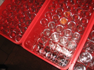 IMG_2091 (50K)